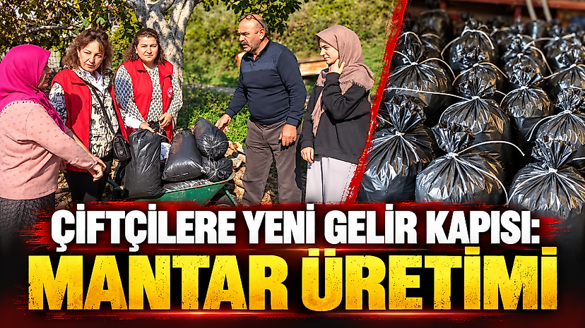 Çiftçilere Yeni Gelir Kapısı: Mantar Üretimi