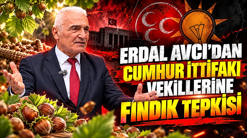 Erdal Avcı'dan Cumhur İttifakı Vekillerine Fındık Tepkisi