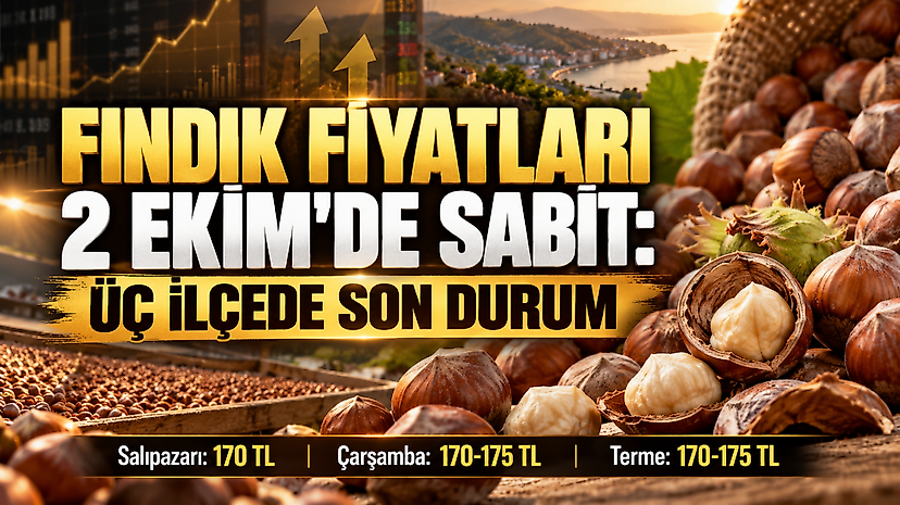 Fındık fiyatları 2 Ekim’de sabit: Üç ilçede son durum