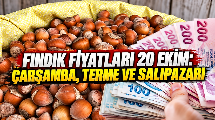 Fındık fiyatları 20 Ekim: Çarşamba, Terme ve Salıpazarı