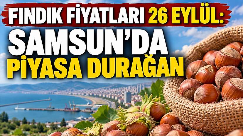 Fındık Fiyatları 26 Eylül: Samsun’da Piyasa Durağan