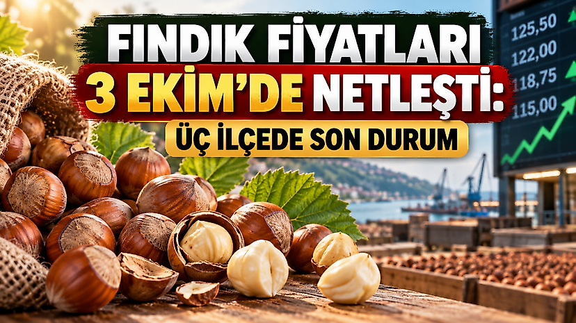 Fındık Fiyatları 3 Ekim’de Netleşti: Üç İlçede Son Durum