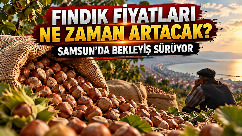 Fındık Fiyatları Ne Zaman Artacak? Samsun'da Bekleyiş Sürüyor