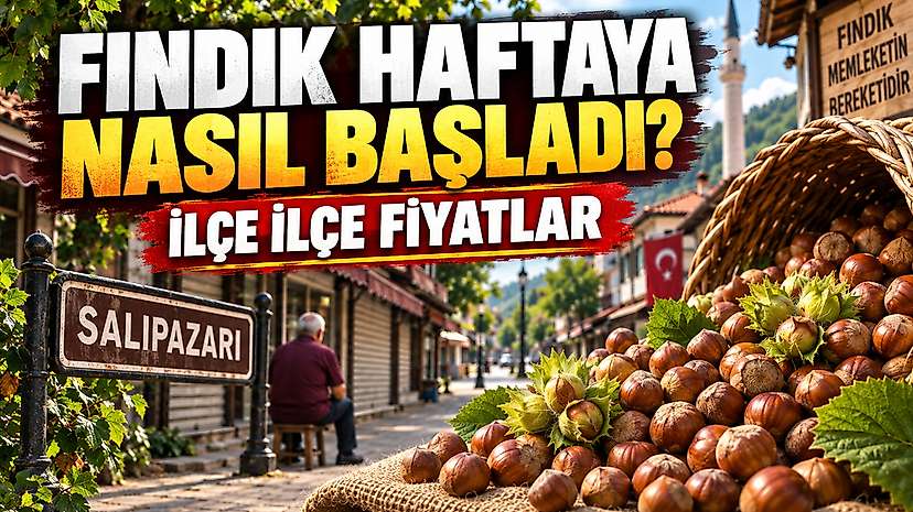 Fındık Haftaya Nasıl Başladı? İlçe İlçe Fiyatlar