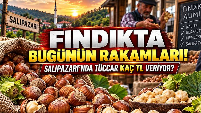 Fındıkta Bugünün Rakamları! Salıpazarı’nda Tüccar Kaç TL Veriyor?