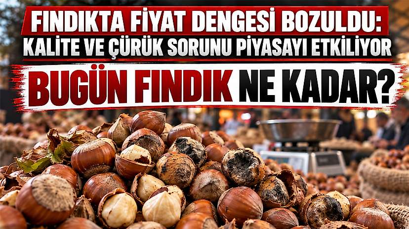 Fındıkta Fiyat Dengesi Bozuldu: Kalite Ve Çürük Sorunu Piyasayı Etkiliyor
