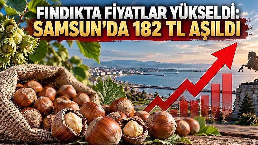 Fındıkta Fiyatlar Yükseldi: Samsun’da 182 TL Aşıldı