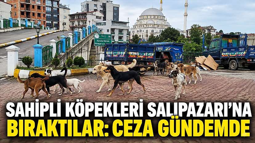 Sahipli Köpekleri Salıpazarı’na Bıraktılar: Ceza Gündemde