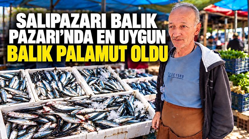 Salıpazarı Balık Pazarı’nda en uygun balık palamut oldu