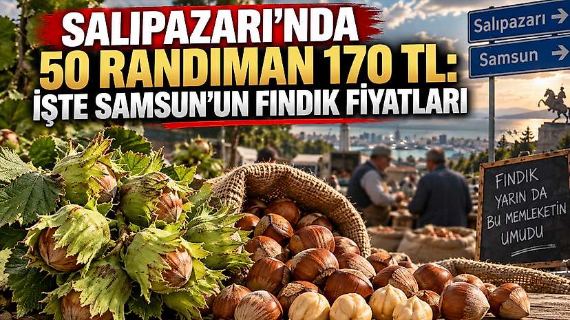 Salıpazarı’nda 50 randıman 170 TL: İşte Samsun’un fındık fiyatları