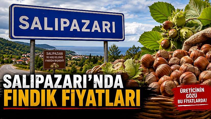Salıpazarı’nda Fındık Fiyatları