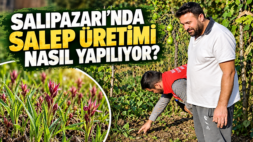 Salıpazarı’nda Salep Üretimi Nasıl Yapılıyor?