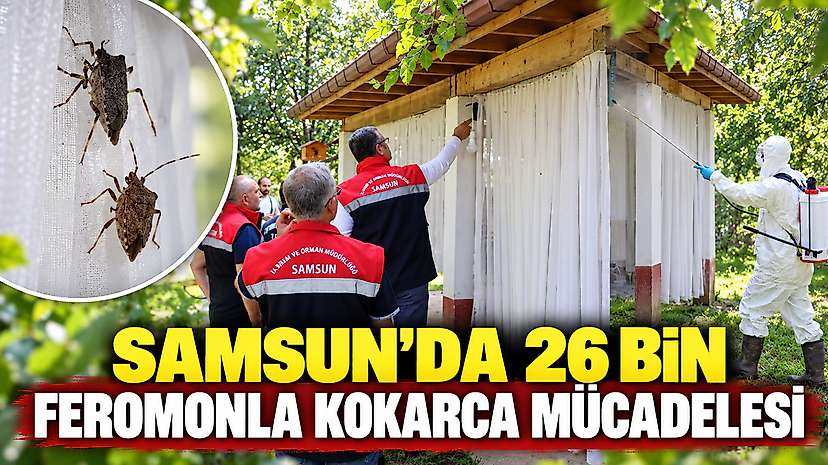 Samsun’da 26 Bin Feromonla Kokarca Mücadelesi
