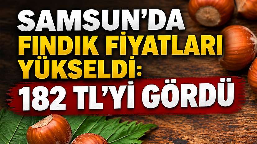 Samsun’da Fındık Fiyatları Yükseldi: 182 TL’yi Gördü