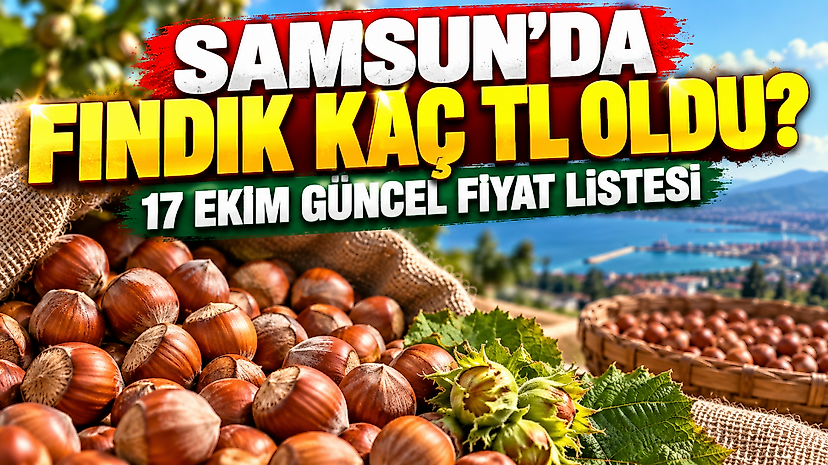 Samsun'da Fındık Kaç TL Oldu? 17 Ekim Güncel Fiyat Listesi
