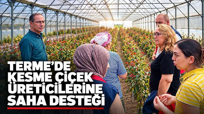 Terme’de kesme çiçek üreticilerine saha desteği