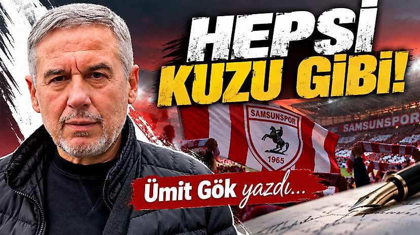 Hepsi Kuzu Gibi!