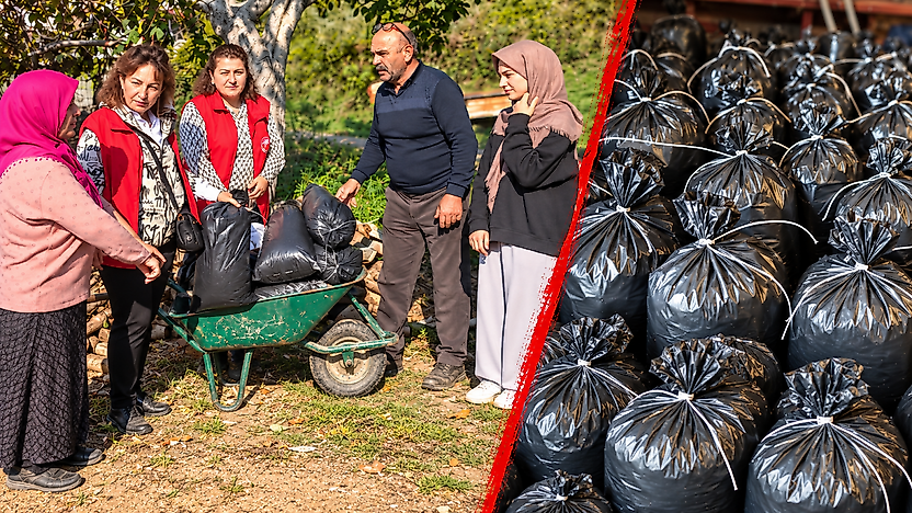 Çiftçilere Yeni Gelir Kapısı: Mantar Üretimi