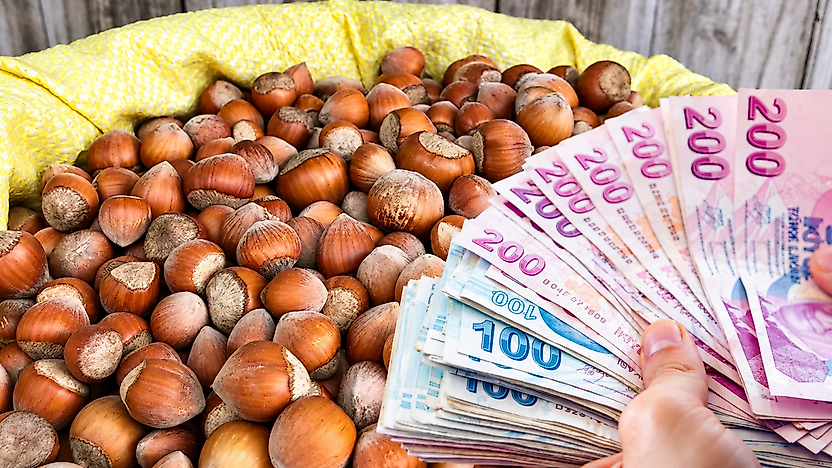 Fındık fiyatları 20 Ekim: Çarşamba, Terme ve Salıpazarı