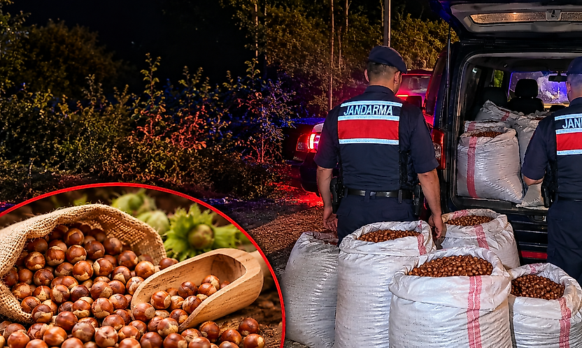 Çarşamba'da Jandarmadan Fındık Hırsızlarına Suçüstü Baskın