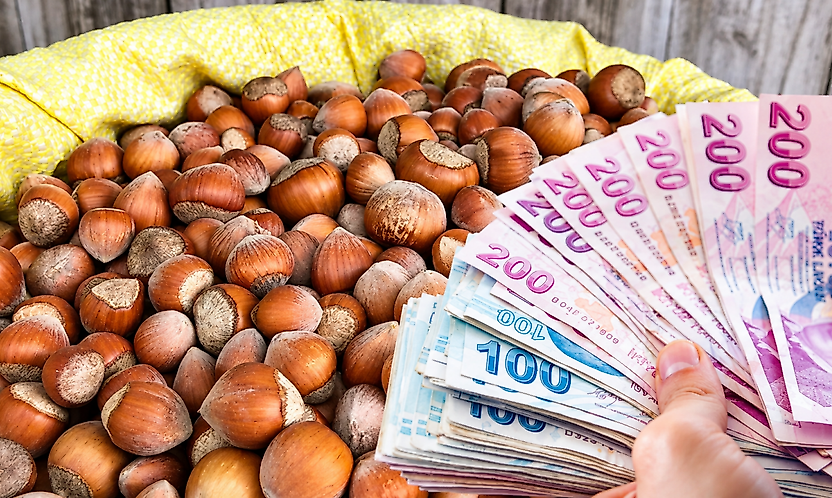 Fındık fiyatları 20 Ekim: Çarşamba, Terme ve Salıpazarı